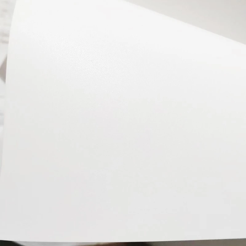 Thick PET Roll Up Banner-3
